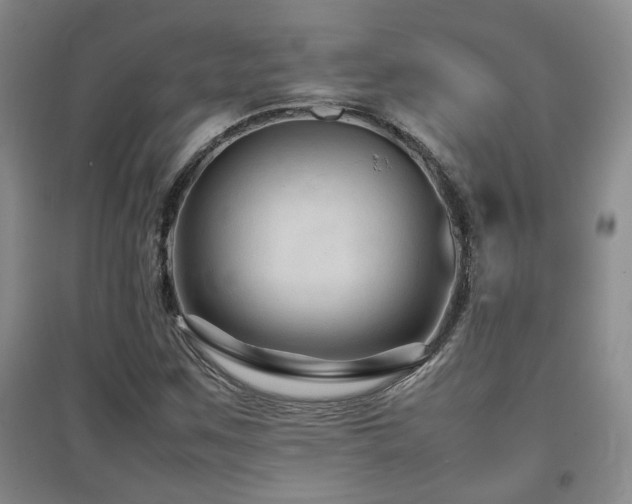 X0000097661259200802291417