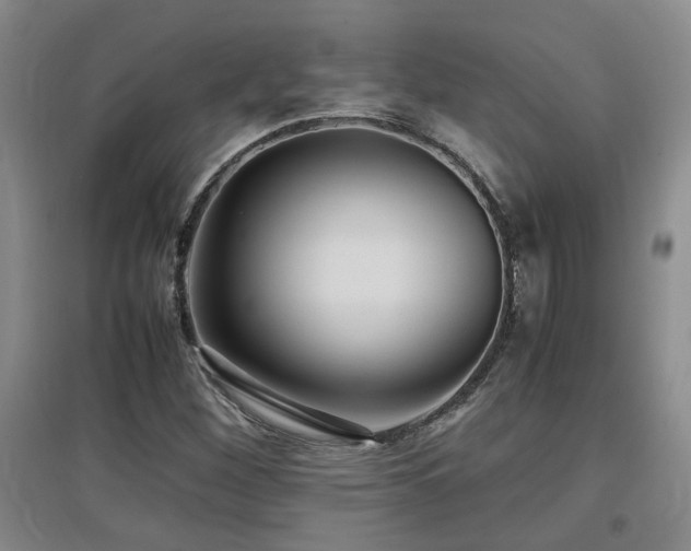 X0000097661260200802291417
