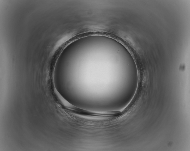 X0000097661261200802291417