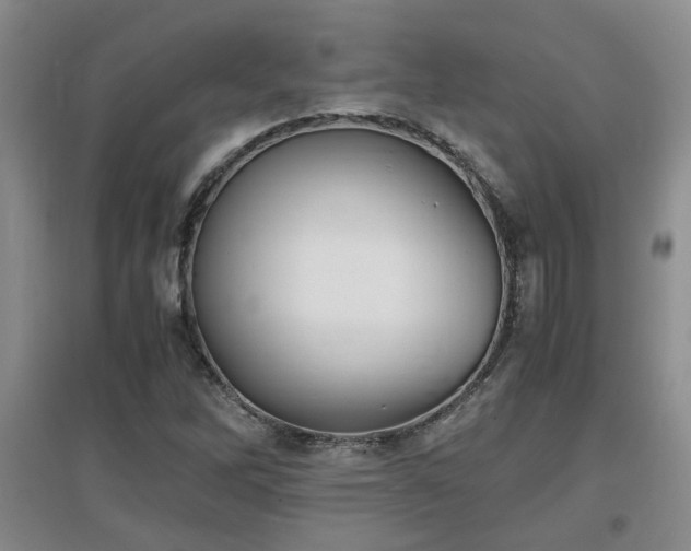 X0000097661262200802291417