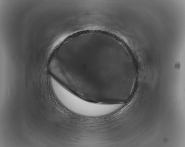 X0000097661263200802291417