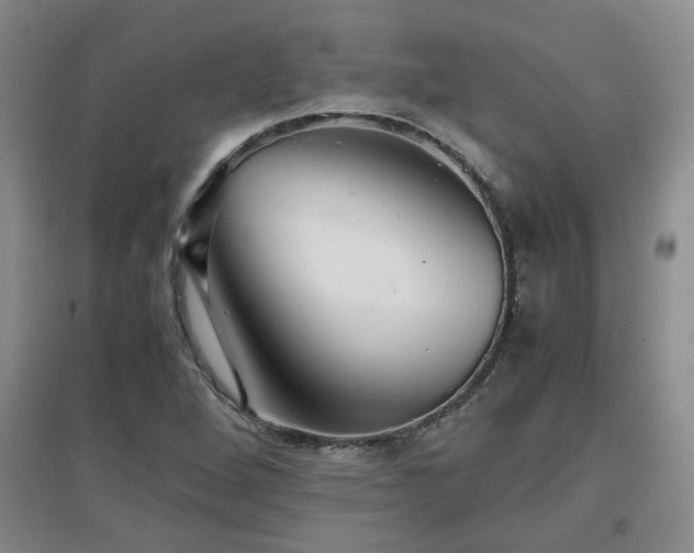 X0000097661264200802291417