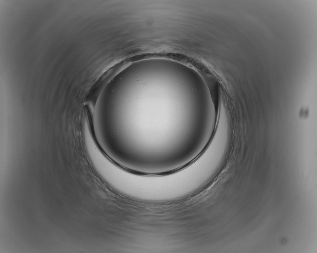 X0000097661265200802291417