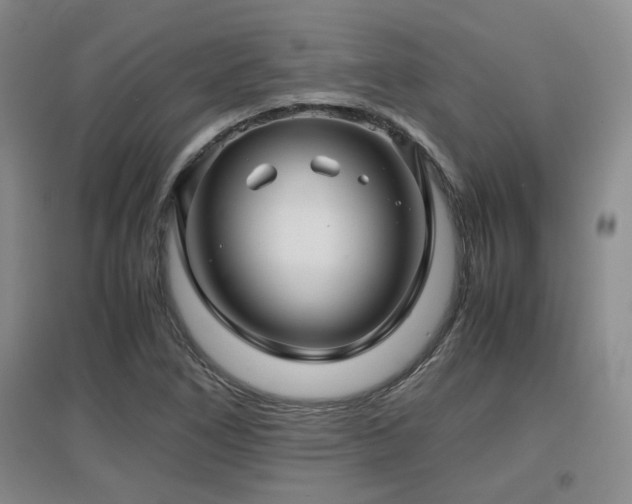 X0000097661266200802291417