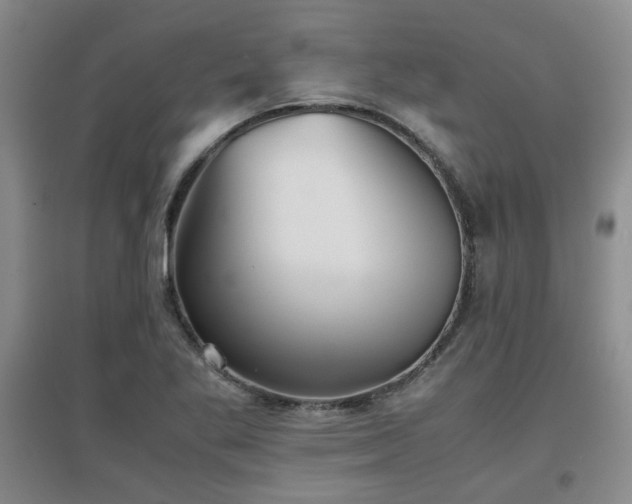X0000097661269200802291417