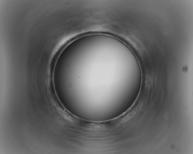 X0000097661270200802291417