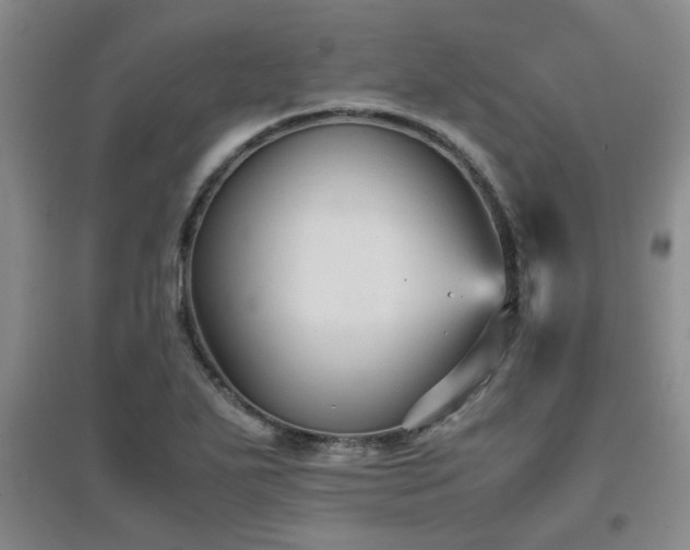 X0000097661271200802291417