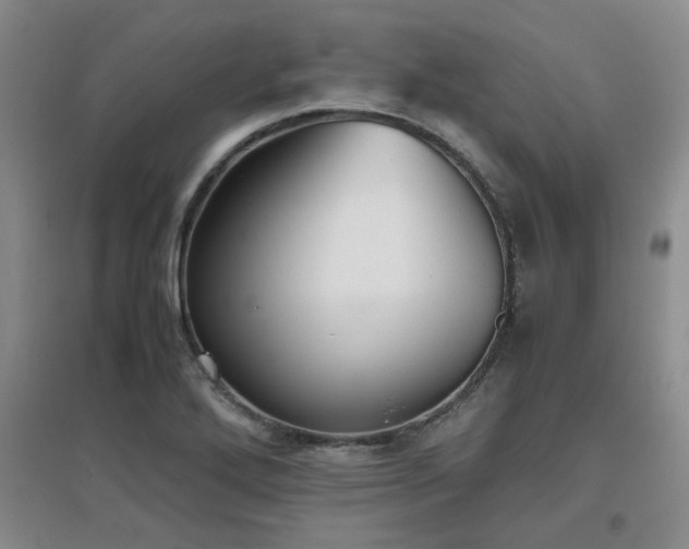 X0000097661272200802291417
