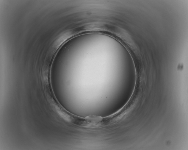 X0000097661273200802291417