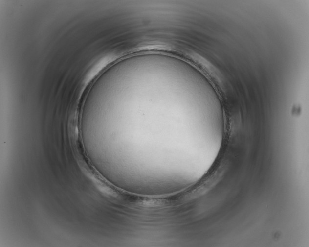 X0000097661274200802291417