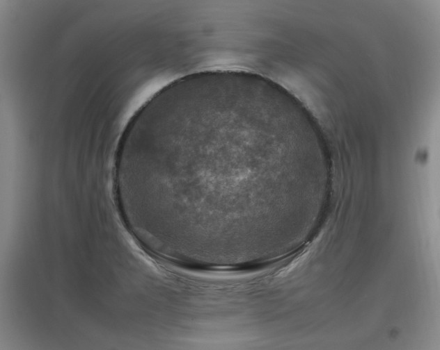 X0000097661277200802291417