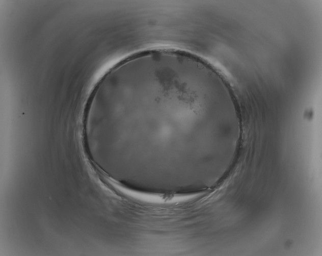 X0000097661279200802291417