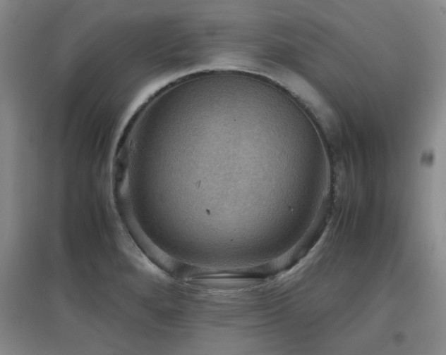 X0000097661280200802291417