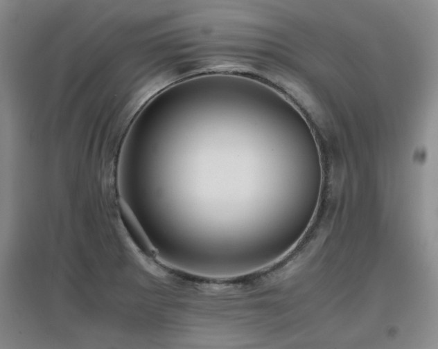 X0000097661281200802291417