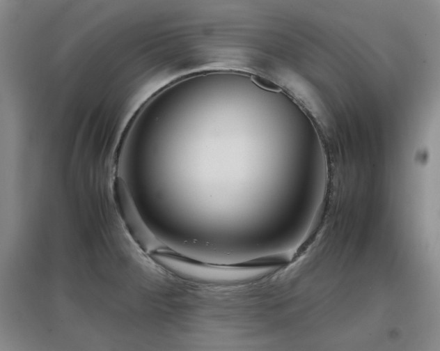 X0000097661284200802291417