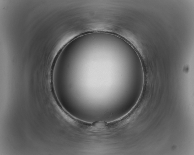 X0000097661285200802291417