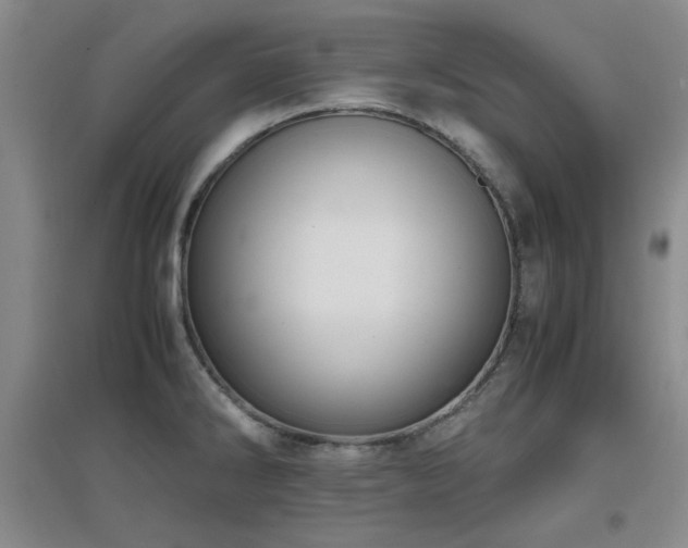 X0000097661286200802291417
