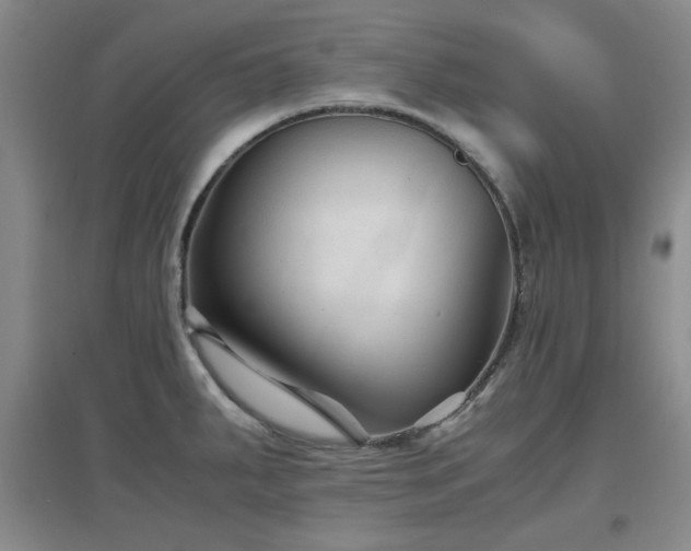 X0000097661287200802291417