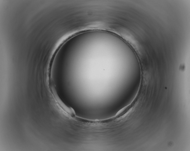 X0000097661288200802291417