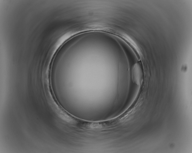 X0000097661291200802291417
