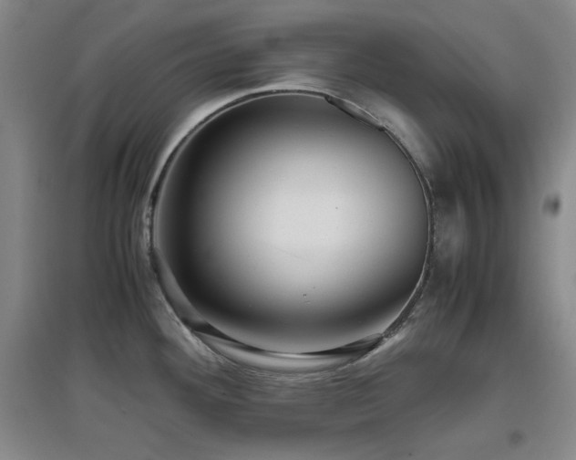 X0000097661292200802291417