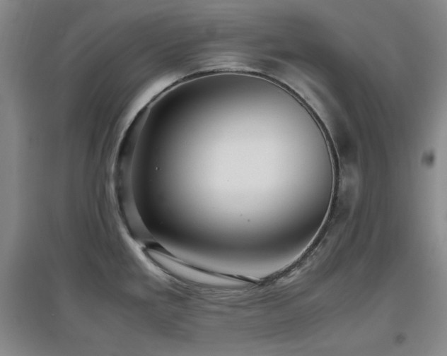 X0000097661293200802291417