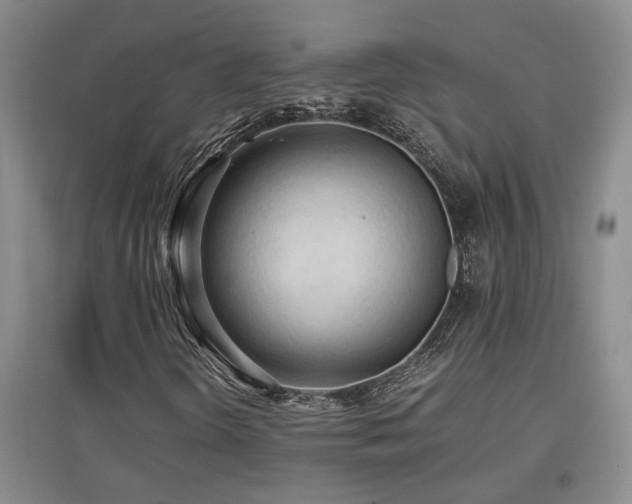 X0000097661298200802291416