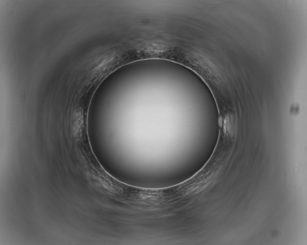 X0000097661299200802291416