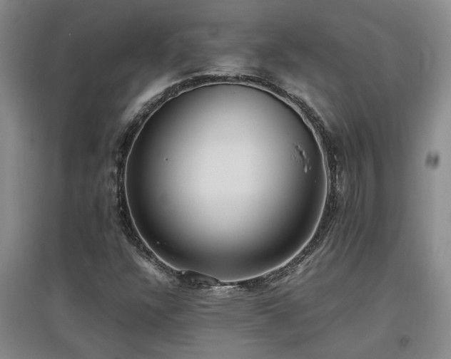 X0000097661304200802291416