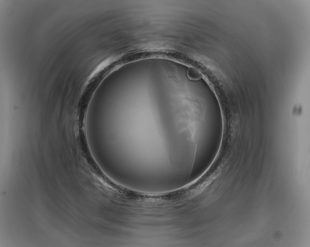 X0000097661306200802291416