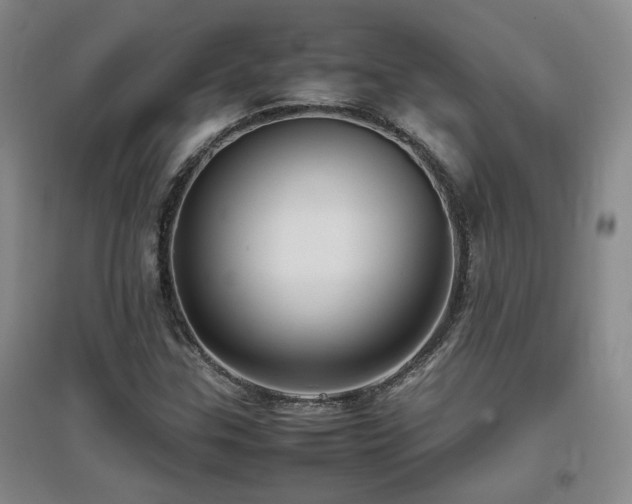 X0000097661307200802291416