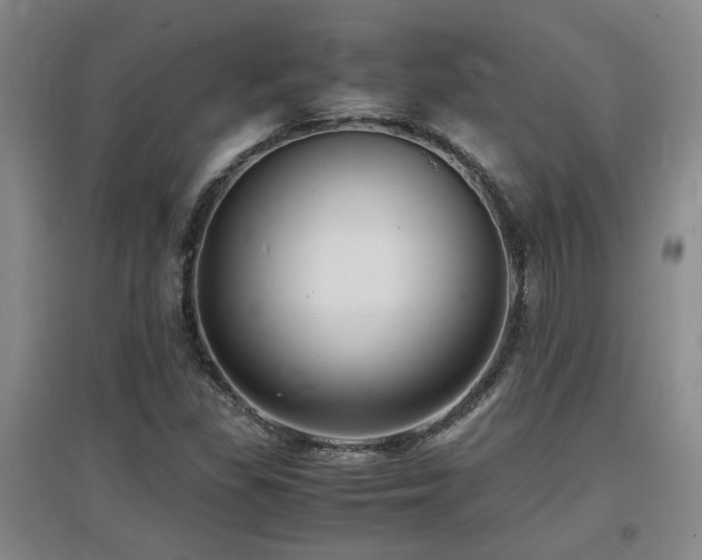 X0000097661309200802291416