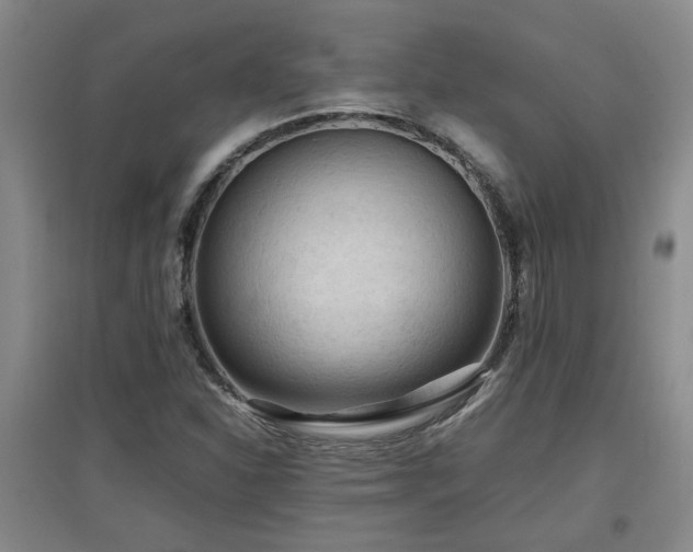 X0000097661310200802291416