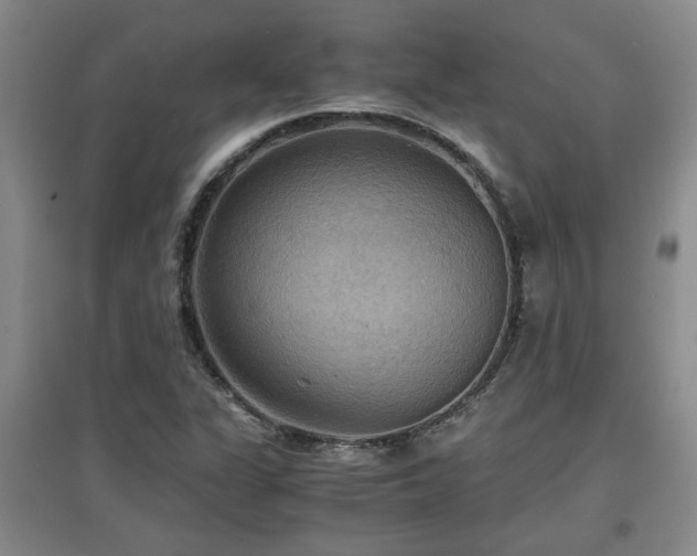 X0000097661311200802291416