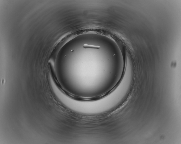 X0000097661313200802291416
