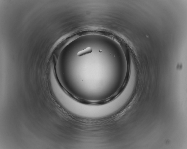 X0000097661314200802291416