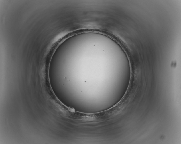 X0000097661315200802291416