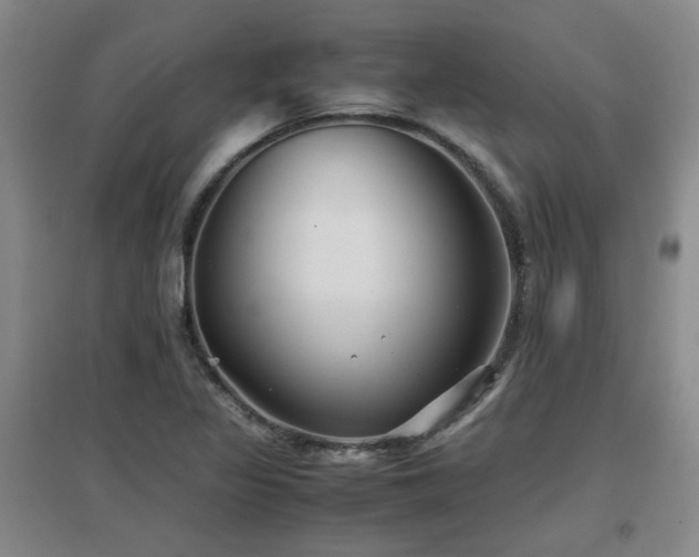 X0000097661317200802291416