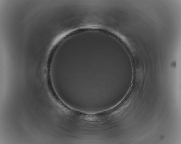 X0000097661319200802291417