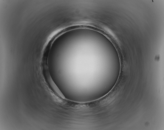 X0000097661320200802291417