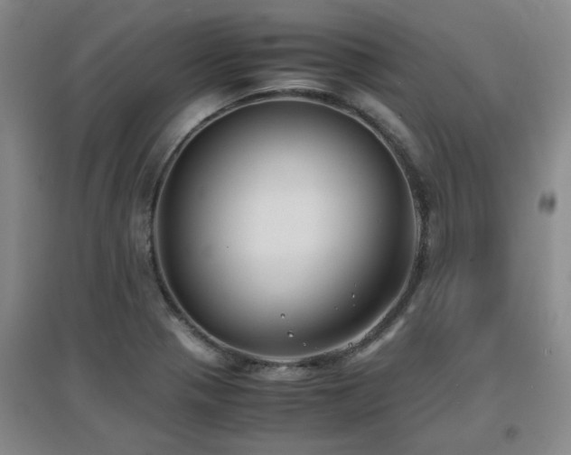 X0000097661321200802291417