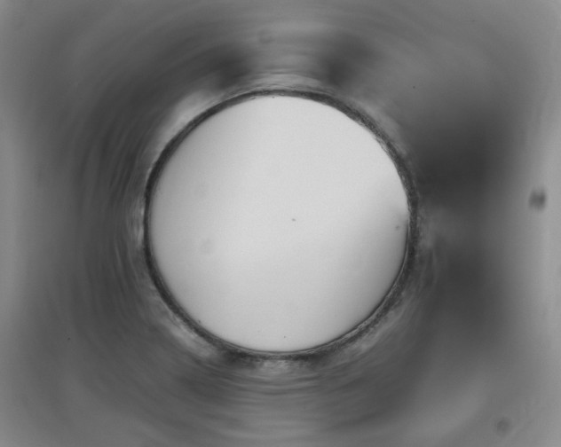 X0000097661322200802291417