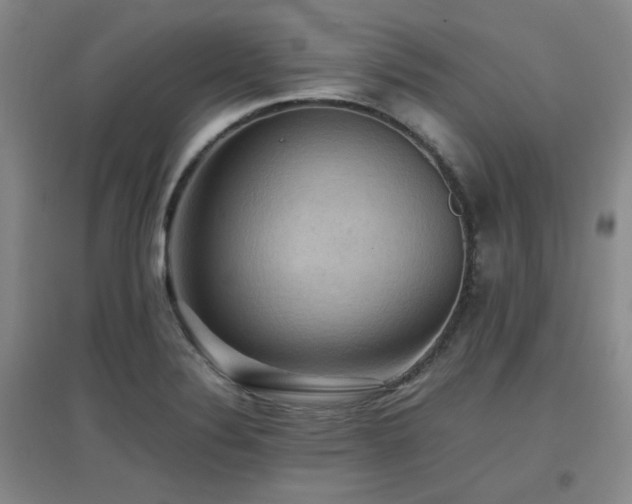 X0000097661324200802291417