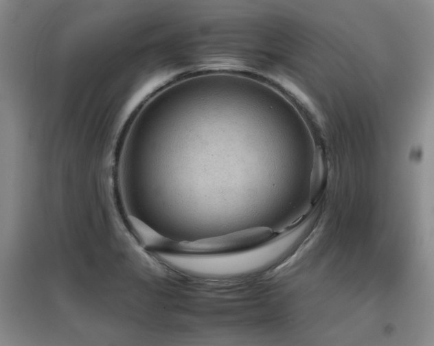 X0000097661325200802291417