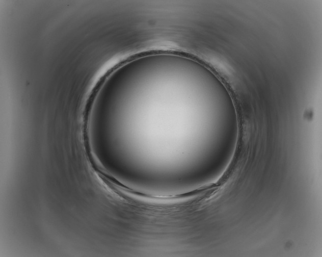 X0000097661326200802291417