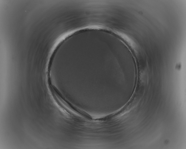 X0000097661327200802291417