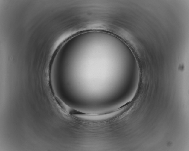 X0000097661328200802291417