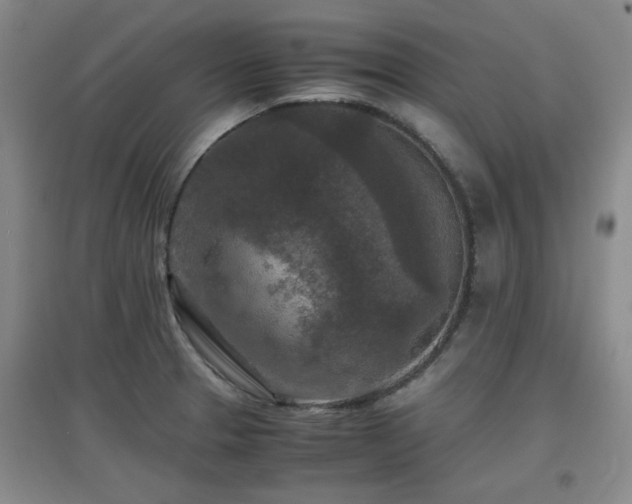 X0000097661329200802291417