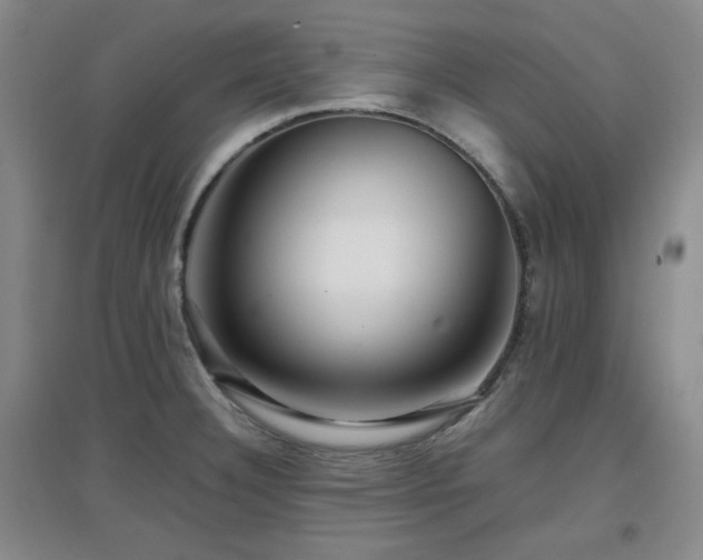 X0000097661332200802291417