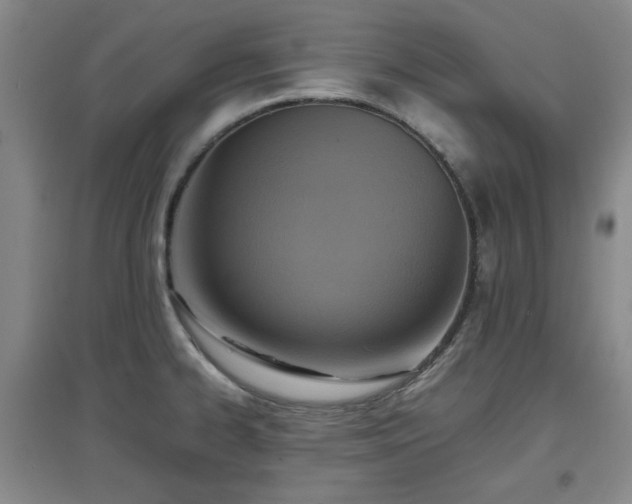 X0000097661334200802291417